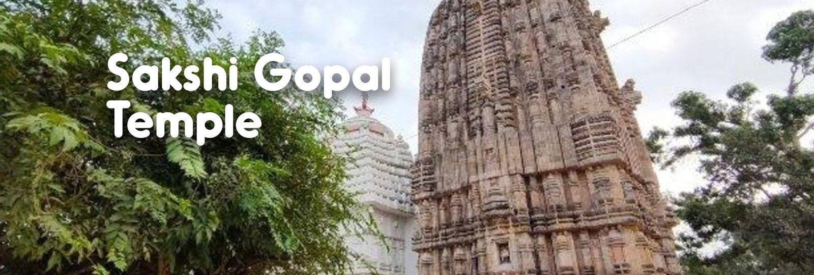 Sakshi Gopal Temple 